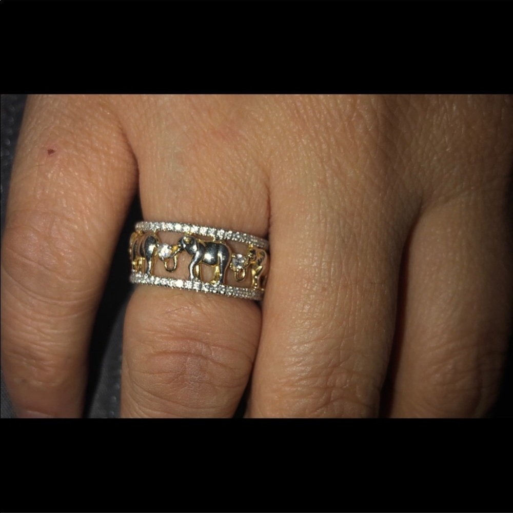 Elephant Ring - image 2